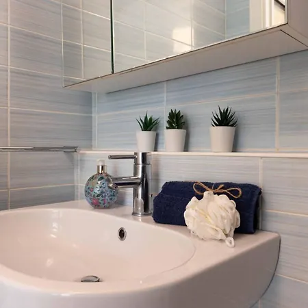 With Huge Swimming Pool And Solarium