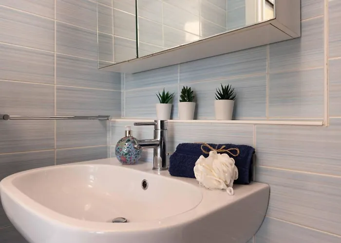 With Huge Swimming Pool And Solarium